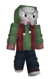 Skin preview