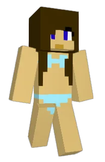 Front of villaww's skin