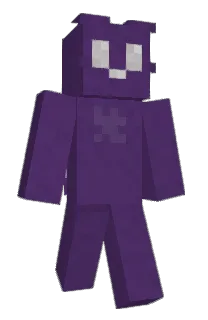 NinNinja2317's Minecraft skin