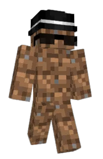 Front of sfefses's skin