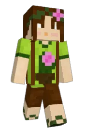 Skin preview