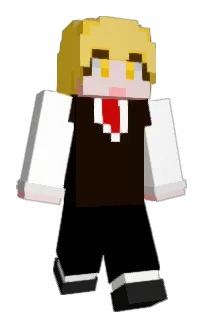 Front of _CAMAG's skin