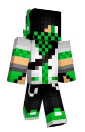 Skin preview
