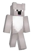 koala302