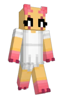 Front of RandomDogeee's skin