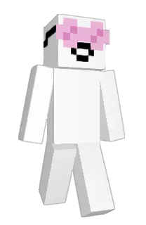 Front of Rynegaming123's skin