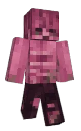 Minecraft skin — Classic model