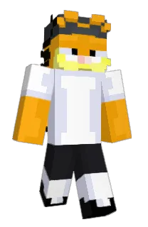 Front of Heterium's skin
