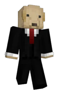 Front of ItsFrancraftYT's skin
