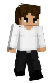 Front of sah's skin