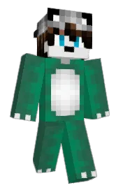 Skin preview