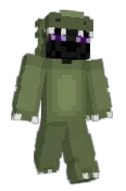 Advisin741