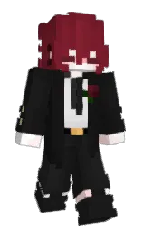 Back of Minecraft skin