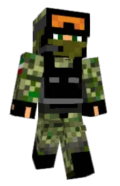 Skin preview