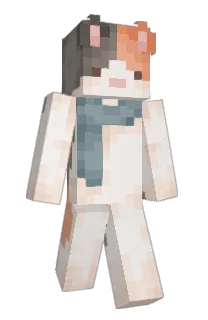 Front of Minecraft skin