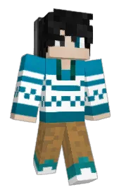 Skin preview