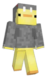 Minecraft skin — Classic model