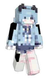 Skin preview