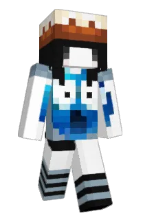 Front of lleeza's skin