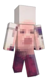 xowho_'s Minecraft skin wearing the Migrator cape