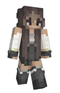 Front of KR15S's skin