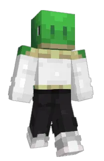 Front of cubed_turtle's skin