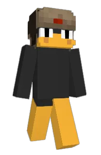 Front of pocchako's skin