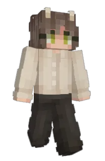 novafunc's Minecraft skin