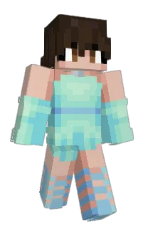 Front of MyMateo's skin