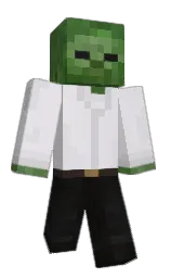 Minecraft skin — Classic model