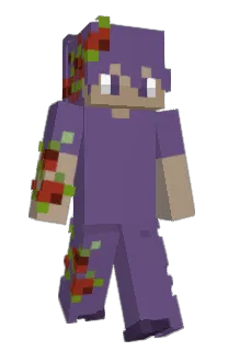 MCmingyy's Minecraft skin