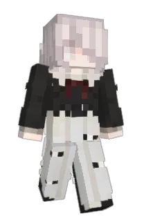 Front of ommetas's skin