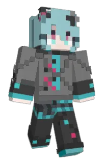 Front of Envirun's skin