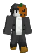 MaxOJ