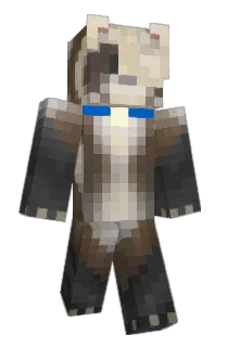 Front of theresoil's skin