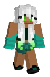 Skin preview