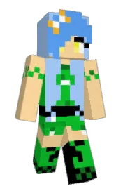 Skin preview