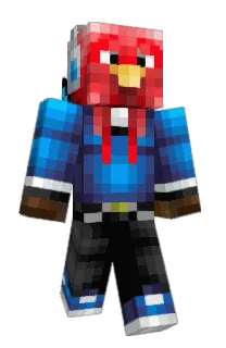 Front of Terquey's skin