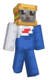 Classic Minecraft skin