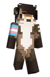 Front of mechanikate's skin