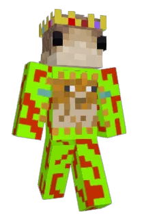 Front of enjoyden's skin