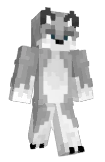 Front of Saico_69's skin