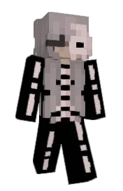 Skin preview