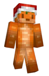 Front of HouJeKlikoklep's skin
