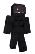 Udidyga