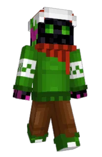 Front of Twior's skin