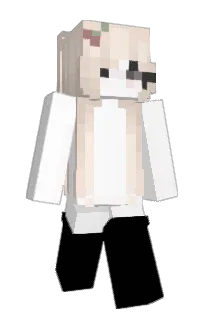 Front of GauzyWheat's skin