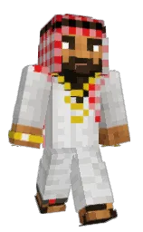 miro_argentino's Minecraft skin wearing the Migrator cape