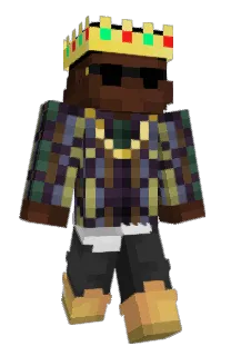 Front of brains4L's skin