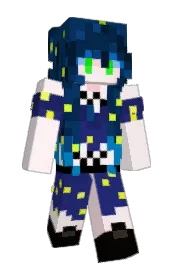 Skin preview